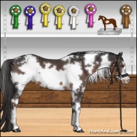 Horse Color:White Spotted Liver Chestnut Frame Appaloosa