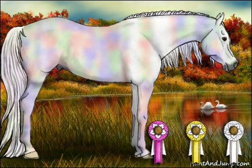 Horse Color:Gray Nacre Bay