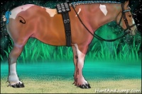 Horse Color:Silver Bay Tobiano