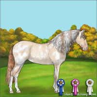 Horse Color:White Spotted Gold Champagne Dun Rabicano 