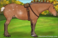 Horse Color:Silver Bay Appaloosa 