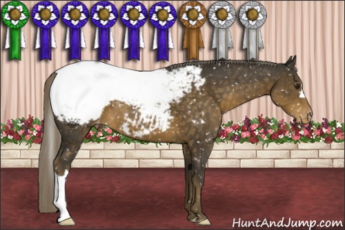 Horse Color:Chocolate Palomino Snowcap 