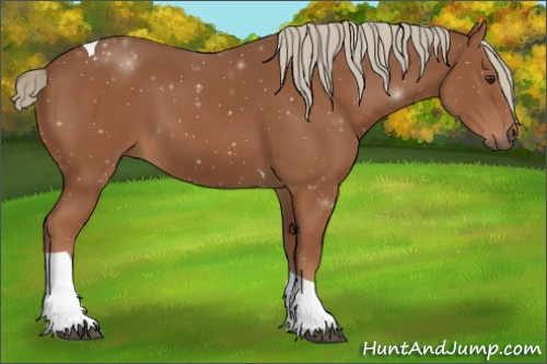 Horse Color:Chestnut Tobiano 