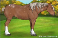 Horse Color:Chestnut Tobiano