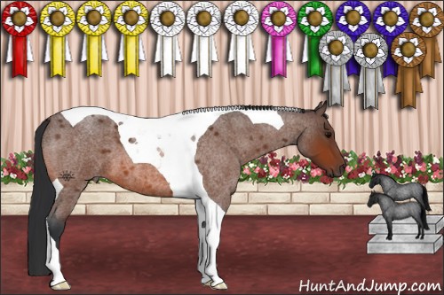 Horse Color:Bay Roan Tobiano 