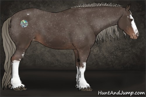 Horse Color:White Spotted Liver Chestnut Mushroom Varnish