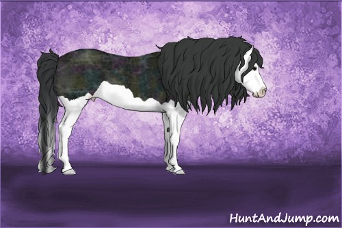 Horse Color:Midnight Grullo Ice Splash