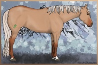 Horse Color:Silver Bay Dun Sabino 