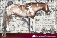 Horse Color:White Spotted Red Onyx Mushroom