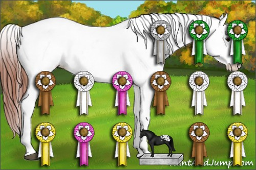 Horse Color:White Spotted Bay Dun Appaloosa 