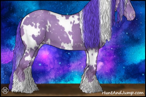 Horse Color:Watercolor White Spotted Chocolate Classic Champagne Appaloosa