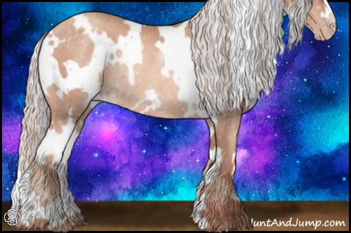 Horse Color:White Spotted Silver Sable Champagne Rabicano