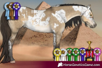 Horse Color:Silver Brown Sabino and Buckskin Dun