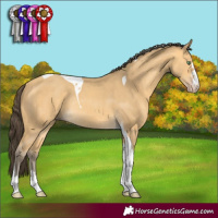 Horse Color:Amber Cream Champagne Tobiano Rabicano 