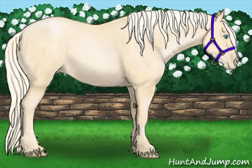 Horse Color:Palomino Pearl