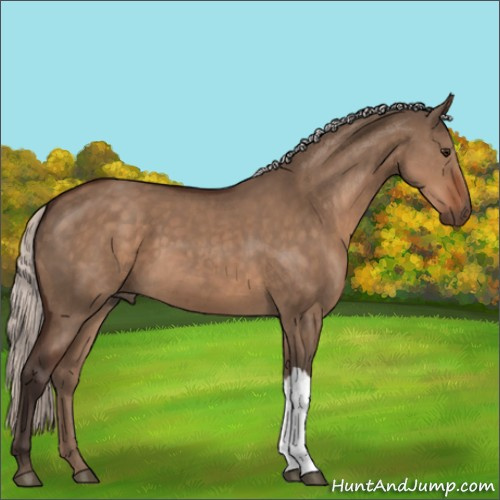 Horse Color:Silver Brown Dun 