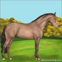 Horse Color:Sable Champagne 