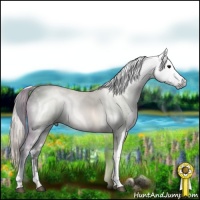 Horse Color:Gray White Spotted Silver Black 