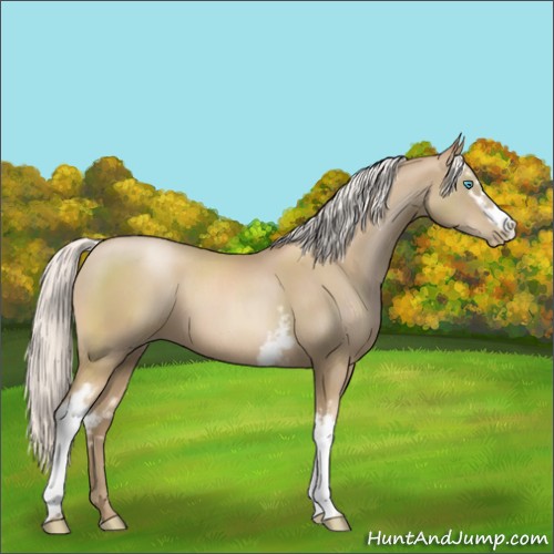 Horse Color:White Spotted Silver Smoky Black Pearl 