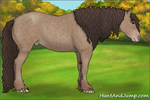 Horse Color:Classic Champagne 