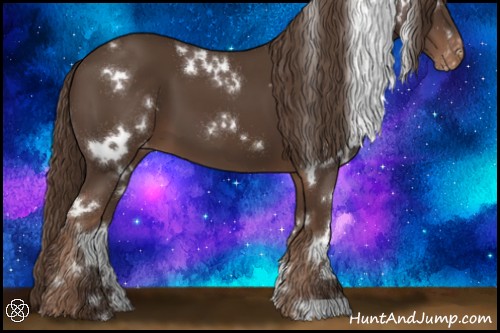Horse Color:White Spotted Liver Chestnut Appaloosa 