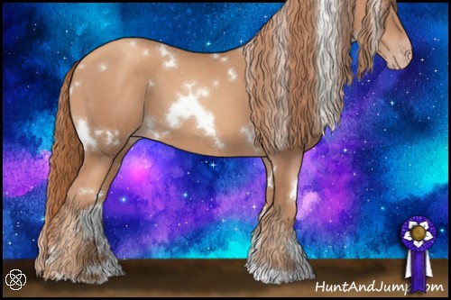 Horse Color:White Spotted Gold Champagne