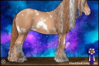 Horse Color:White Spotted Gold Champagne 