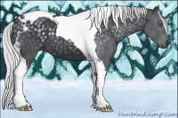 Horse Color:Silver Black Chinchilla Tobiano 