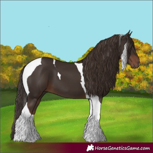 Horse Color:Liver Chestnut Tobiano 