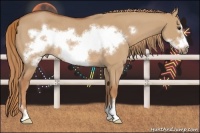 Horse Color:Red Dun Sabino Frame Rabicano 