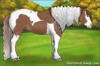 Horse Color:Chestnut Splash Tobiano 