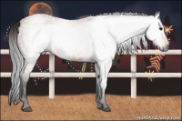 Horse Color:Gray Bay 