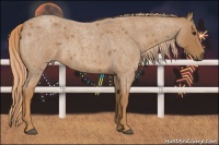 Horse Color:Red Roan Rabicano 