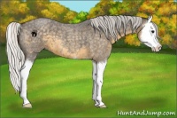 Horse Color:Silver Smoky Blue Roan Splash 