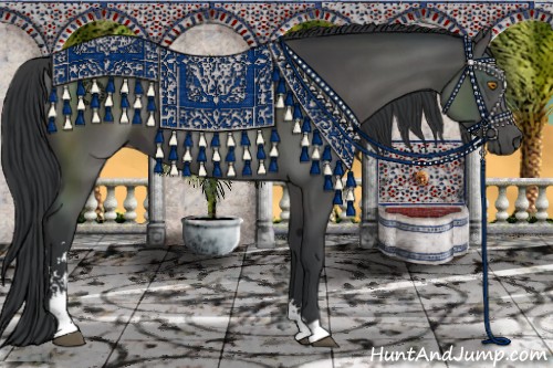 Horse Color:Black Sabino 