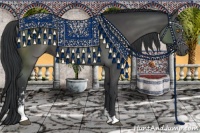 Horse Color:Black Sabino 