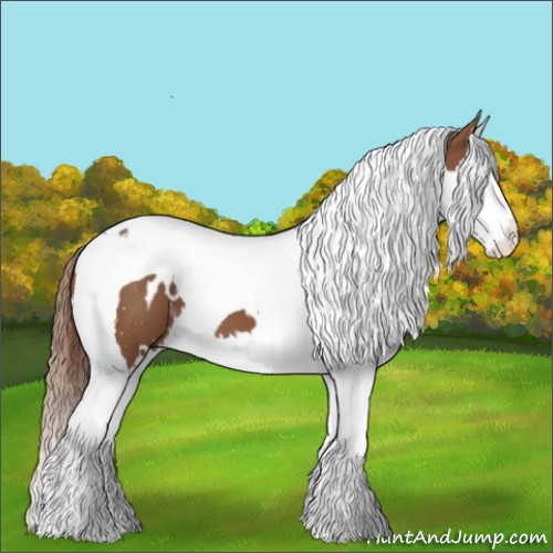 Horse Color:White Spotted Chestnut Splash Tobiano 