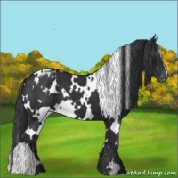 Horse Color:White Spotted Black Varnish 