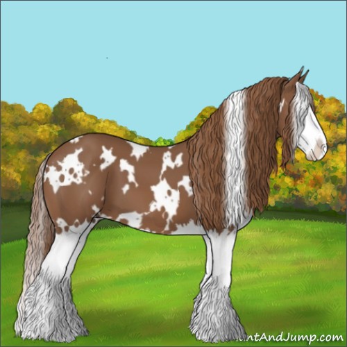 Horse Color:White Spotted Chestnut Splash 