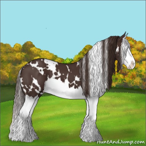 Horse Color:White Spotted Liver Chestnut Splash 