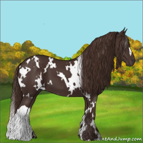 Horse Color:White Spotted Liver Chestnut 