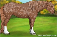 Horse Color:Chestnut Ice 