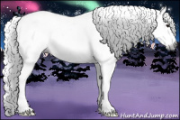 Horse Color:Gray Brown Ice Roan Splash Appaloosa 