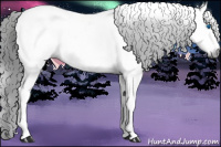 Horse Color:Gray Grullo Ice Tobiano Frame Appaloosa