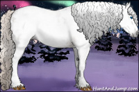 Horse Color:Gray Silver Brown Ice Roan Frame Appaloosa 