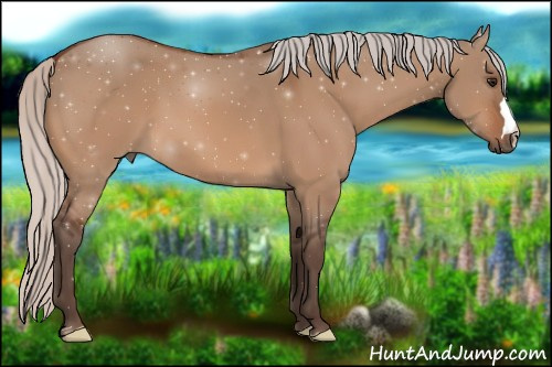 Horse Color:Silver Bay Dun