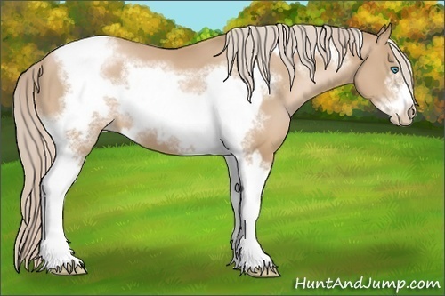 Horse Color:Chocolate Palomino Pearl Tobiano Frame  and Chocolate Palomino Pearl Tobiano Frame 