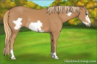 Horse Color:Chestnut Frame 