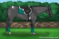 Horse Color:Black Tobiano 