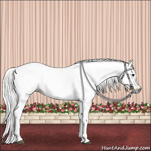 Horse Color:Gray Bay Dun